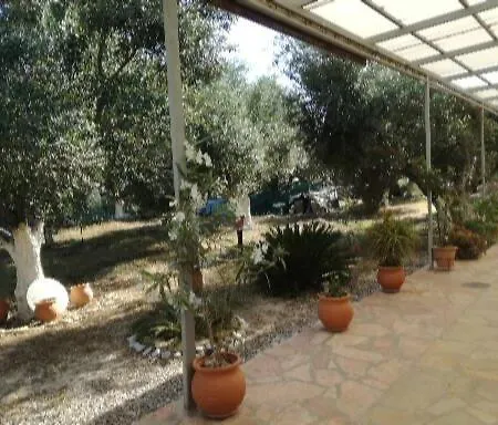 Sunny Καλαμάτα