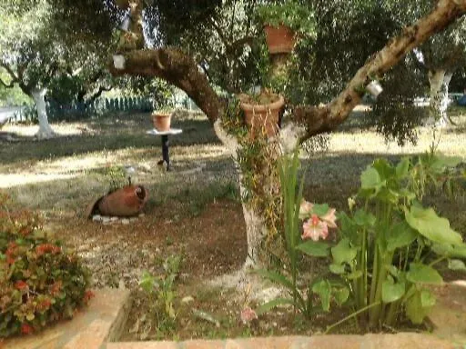 Σπίτι διακοπών Sunny