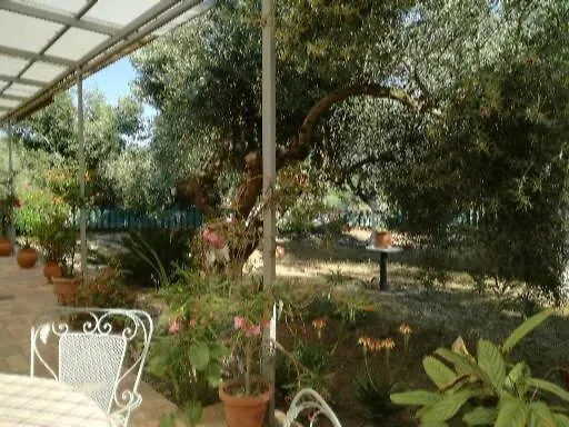 Sunny Σπίτι διακοπών