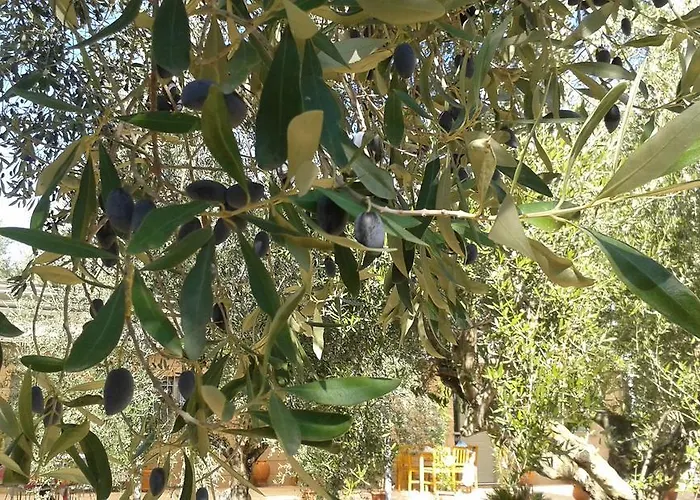 Sunny Σπίτι διακοπών Καλαμάτα