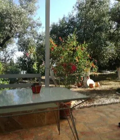 Sunny *