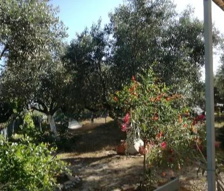 Sunny * Kalamata