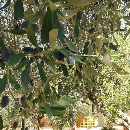 Sunny Ferienhaus Kalamata
