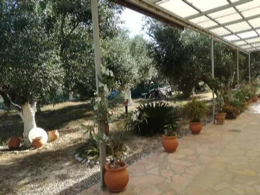 Sunny Каламата